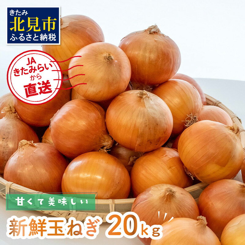 [予約:2026年10月中旬から順次発送]JAきたみらいから直送する甘くて美味しい新鮮玉ねぎ 20kg Lサイズ以上