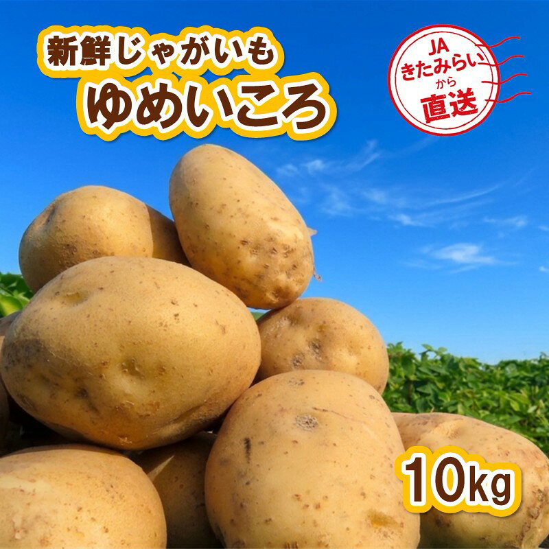 【予約：2026年10月上旬から順次発送】JAきたみらいから直送する新鮮じゃがいも「ゆめいころ」10kg ( 北海道産じゃがいも JAきたみらい JA 直送 いも 芋 ジャガイモ 秋 旬 )