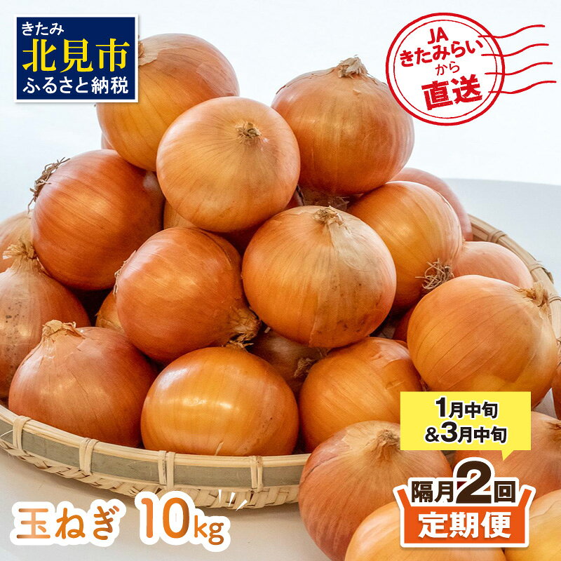 [隔月2回(1月・3月)定期便]JAきたみらいから直送する新鮮玉ねぎ 10kg Lサイズ以上 ( ふるさと納税 野菜 ふるさと納税 定期便 玉葱 たまねぎ 期間限定 秋 旬 )