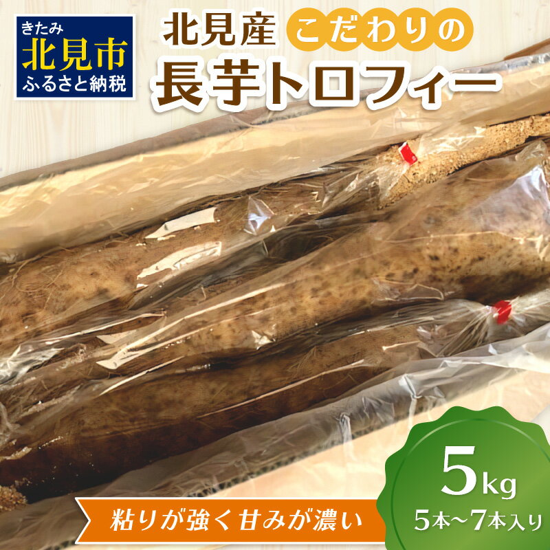 82位! 口コミ数「0件」評価「0」【予約：2024年11月下旬から順次発送】北見産 こだわりの長芋トロフィー 5kg箱 ( 長いも ながいも 野菜 数量限定 期間限定 5キロ･･･ 