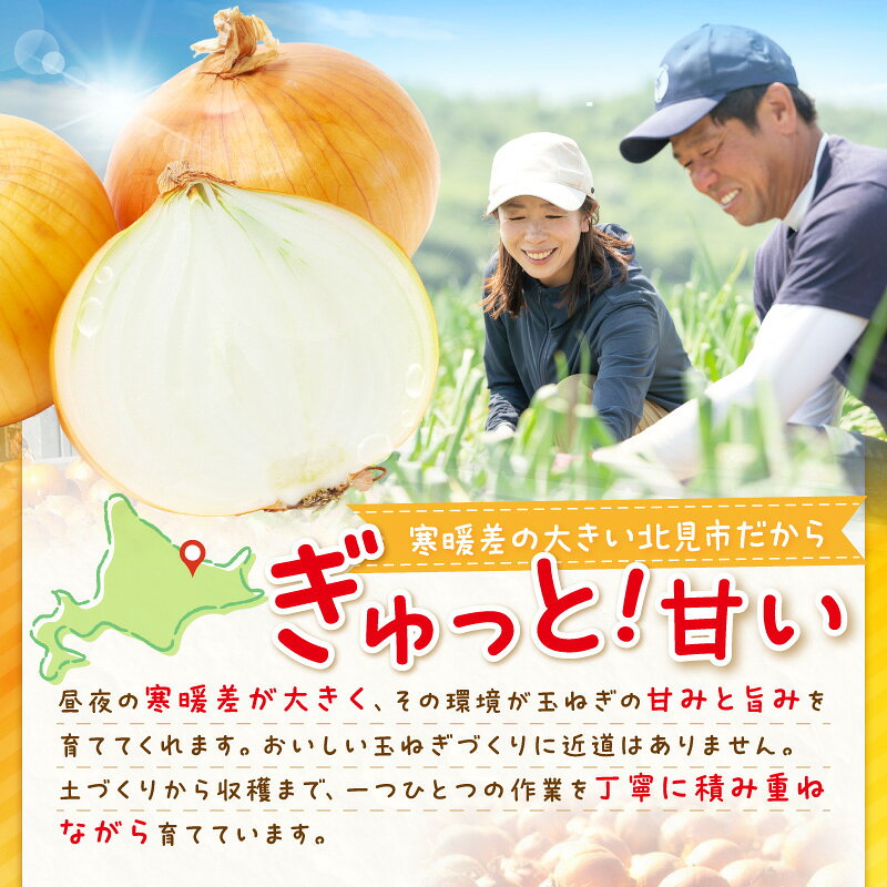 【ふるさと納税】【予約：2026年9月下旬から順次発送】いとう農園の玉ねぎ 10kg ( 玉葱 タマネギ 野菜 期間限定 数量限定 10キロ )
