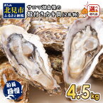 【ふるさと納税】【予約】サロマ湖自慢の殻付きカキ貝 2年物 4.5kg詰め ( ふるさと納税 牡蠣 ふるさと納税 カキ かき 濃厚 魚介類 貝類 カキ 北見市 BBQ 選べる 配送月 発送時期が選べる 数量限定 )