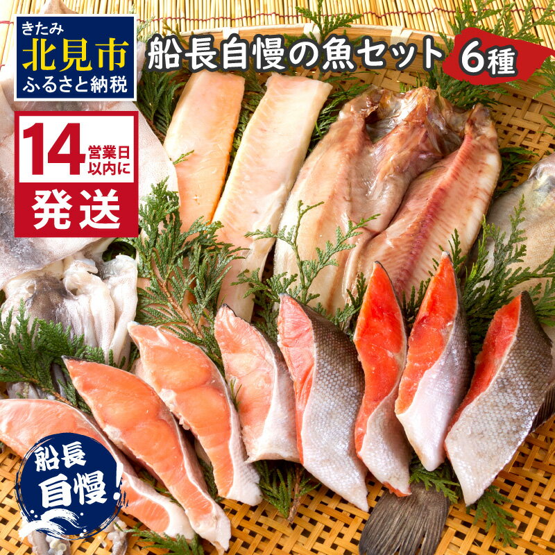 【ふるさと納税】《14営業日以内に発送》船長自慢の海...