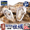 【ふるさと納税】【予約:2025年11月中旬から順次発送】サロマ湖自慢の殻付きカキ貝 2年物 大 20個