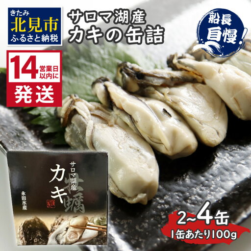 【ふるさと納税】《14営業日以内に発送》サロマ湖産 カキの缶詰 100g 2缶 4缶 【ふるさと納税】《14営業日以内に発送》サロマ湖産 カキの缶詰 100g 2缶 4缶