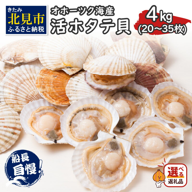 【ふるさと納税】【予約】とれたて新鮮！オホーツク海産 活ホタテ貝 4kg 20～35枚 ( ふるさと納税 ホ...