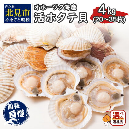 【予約】とれたて新鮮！オホーツク海産 活ホタテ貝 4kg 20～35枚 ( ふるさと納税 ホタテ ふるさと納税 帆立 ふるさと納税 ほたてふるさと納税 貝 殻付き 魚介 海鮮 4キロ カレー シチュー 肉厚 バーベキュー 北見市 )