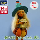 【ふるさと納税】【限定1個】《14営業日以内に発送》創作人形「Witch Doll」魔女