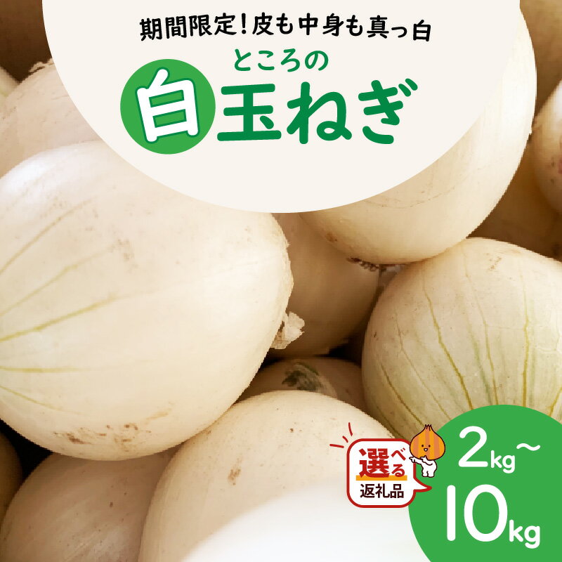 【ふるさと納税】【予約：2026年7月中旬から順次発送】ところの白玉ねぎ 2kg 3kg 5kg 10kg ( 玉ねぎ タマネギ 玉葱 野菜 白玉ねぎ 2キロ 3キロ 5キロ 10キロ 期間限定 辛みが少ない 生食 )