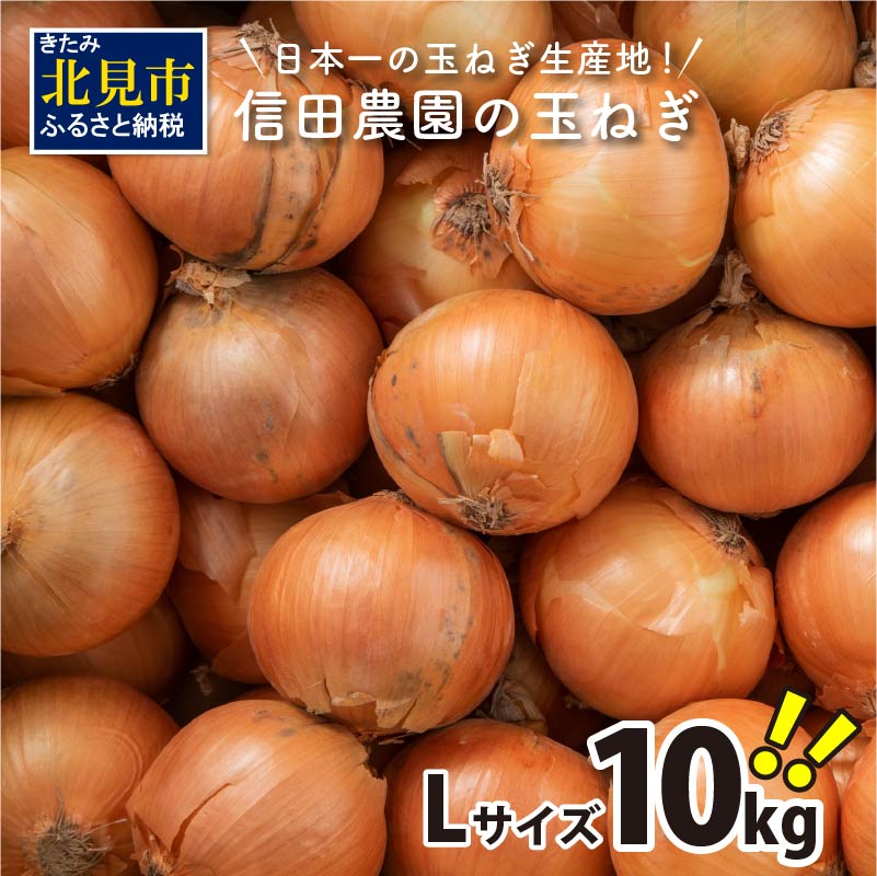 【ふるさと納税】【予約】【選べる発送月】 日本一の玉ねぎ生産地！信田農園の玉ねぎ 5kg 10kg Lサイズ ( 信田農園 野菜 玉ねぎ 玉葱 たまねぎ タマネギ 10キロ 北見のたまねぎ オニオン 野菜 甘い ふるさと納税 北海道 北見市 ふるさと納税 ランキング )