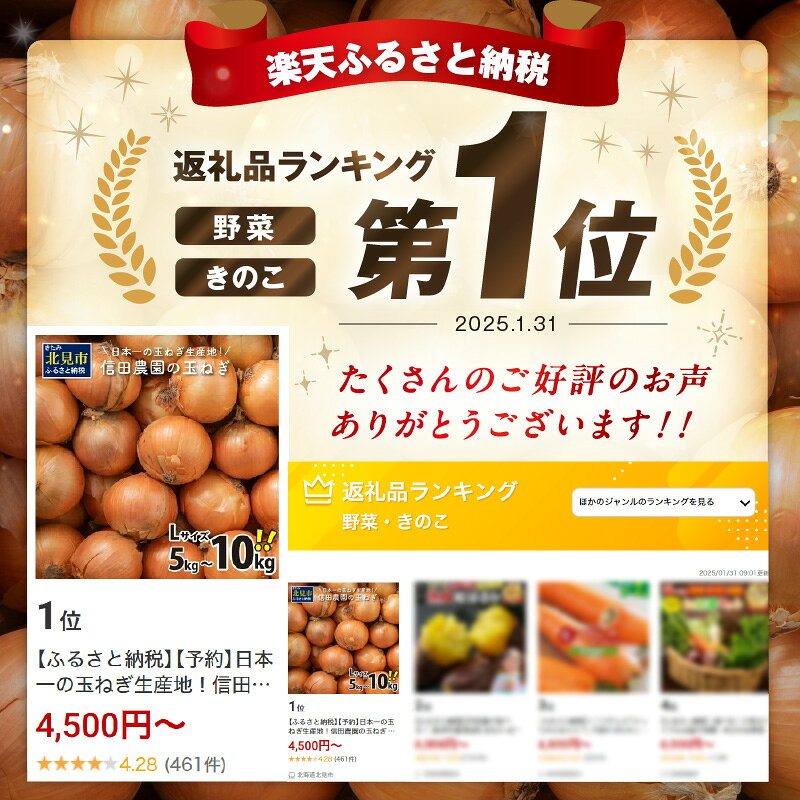 【ふるさと納税】【予約】【選べる発送月】 日本一の玉ねぎ生産地！信田農園の玉ねぎ 5kg 10kg Lサイズ ( 信田農園 野菜 玉ねぎ 玉葱 たまねぎ タマネギ 10キロ 北見のたまねぎ オニオン 野菜 甘い ふるさと納税 北海道 北見市 ふるさと納税 ランキング 秋 旬 ) f012084-kitami-10000506 北海道北見市 サンプル画像2