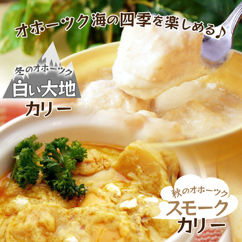 【ふるさと納税】クリシュナ 秋冬オホーツクカリー 2食セット 手焼きナン付 ( 食品 加工品 惣菜 カレー ナン セット 五つ星ホテル オホーツク海 オホーツクカレー ) f012084-kitami-10000551 北海道北見市 サンプル画像2