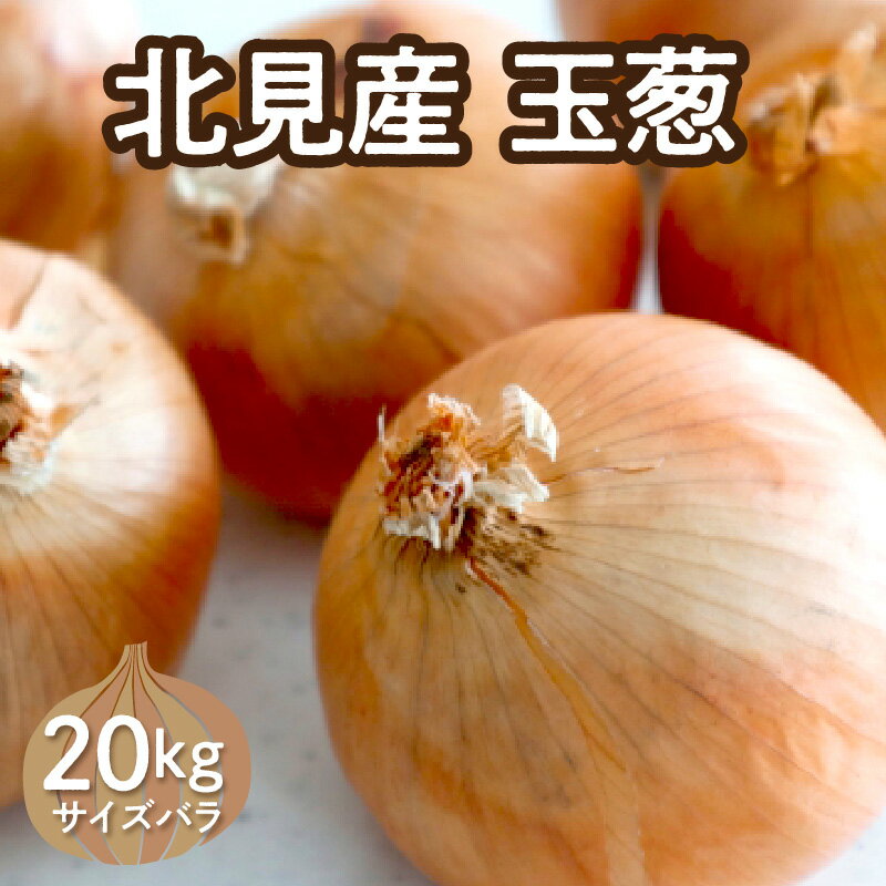 Rakuten - 【ふるさと納税】【予約：2026年10月下旬から順次発送】北見産玉ねぎ 20kg ( 機能性玉葱 サイズバラ 玉ねぎ たまねぎ タマネギ 玉葱 オニオン ケル玉 野菜 北海道 長期貯蔵 )
