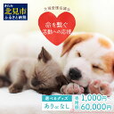 7位! 口コミ数「42件」評価「4.57」【犬猫等愛護活動、命を繋ぐ活動への応援】《選べる返礼品なし・あり》北見市犬猫愛護協議会グッズ ( ふるさと納税 1000円 いぬ ねこ 保護･･･ 