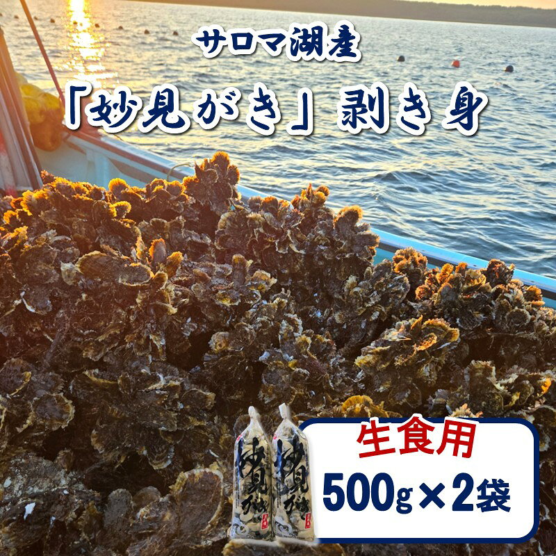 [予約:2026年11月から順次発送]サロマ湖産 生食用「妙見がき」剥き身 1kg ( サロマ湖 北見市産 牡蠣 カキ かき 生食 むき身 500g 2袋 BBQ バーベキュー )