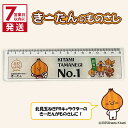 【ふるさと納税】《7営業日以内に発送》きーたんのものさし 1個