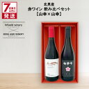 【ふるさと納税】《7営業日以内に発送》北見産 赤ワイン 飲み比べセット(山幸×山幸) ( ワイン 赤ワイン セット 山幸 飲み比べ ギフト 贈り物 )