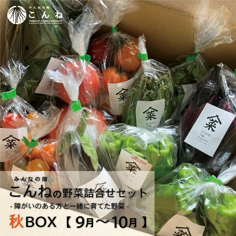 [予約:2026年9月から順次発送]こんねの旬の野菜詰め合わせセット 秋BOX 9〜10月