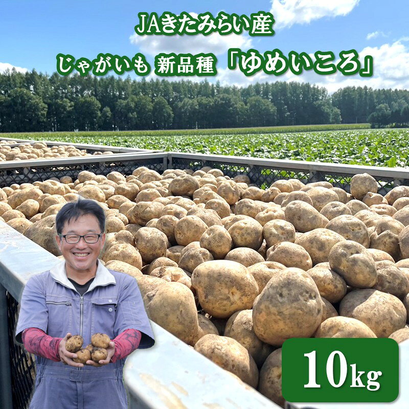 【ふるさと納税】【予約】JAきたみらい産 じゃがいも 新品種「ゆめいころ」 10kg ( じゃがいも いも 芋 JA 北海道産 )