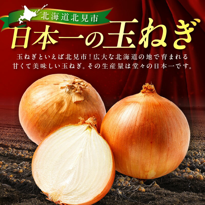 【ふるさと納税】北見市産玉ねぎ使用 味付け豚肉 醤油タレ 味噌タレ 600g 900g 1.5kg f012084-kitami-10001420 北海道北見市 サンプル画像3