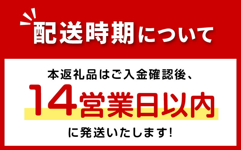 【ふるさと納税】《14営業日以内に発送》天然成分100％消臭液 きえ～る クルマ用 100ml 300ml ( 消臭 天然 車 )