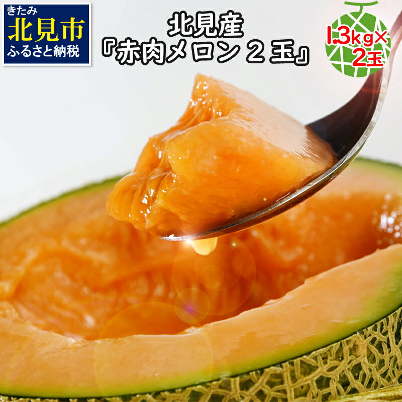 [予約:2024年7月から順次発送]北見産赤肉メロン 約1.3kg×2玉 ( 糖度 甘い 果実 果肉 フルーツ 果物 産地直送 旬 )