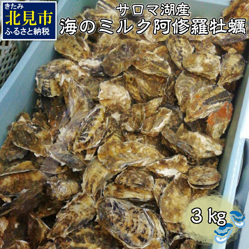 【ふるさと納税】【Z8-001】サロマ湖産海のミルク阿修羅牡蠣