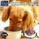 【ふるさと納税】【6ヶ月定期便】エゾシカミンチ 500g×2パック ( 犬 えさ 餌 犬の餌 ペットフード 鹿 エゾシカ肉 鹿肉 健康 定期便 ミンチ )