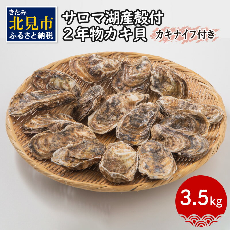 【ふるさと納税】海のミルクサロマ湖産殻付2年物カキ貝 3.5kg(20～45個入)【カキナイフ付】 海鮮 魚介 魚介類 貝 貝類 かき カキ 牡蠣 期間限定 贈答 贈り物 ギフト プレゼント お歳暮 御歳暮 お祝い 送料無料 熨斗 のし BBQ バーベキュー