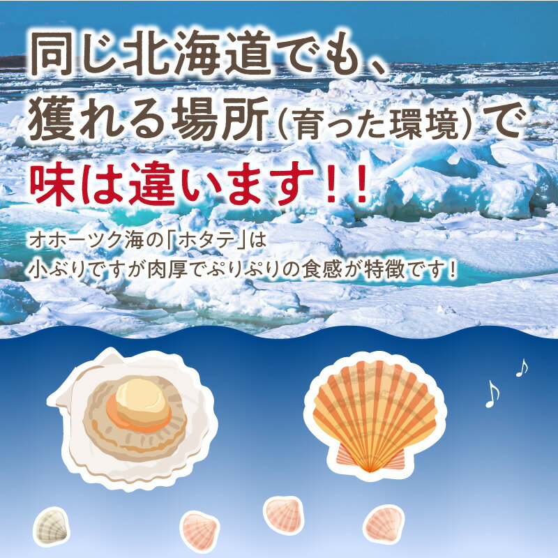 【ふるさと納税】【予約】とれたて新鮮！オホーツク海産 活ホタテ貝 4kg 20～35枚 ( ふるさと納税 ホタテ ふるさと納税 帆立 ふるさと納税 ほたてふるさと納税 貝 殻付き 魚介 海鮮 4キロ カレー シチュー 肉厚 バーベキュー 北見市 )