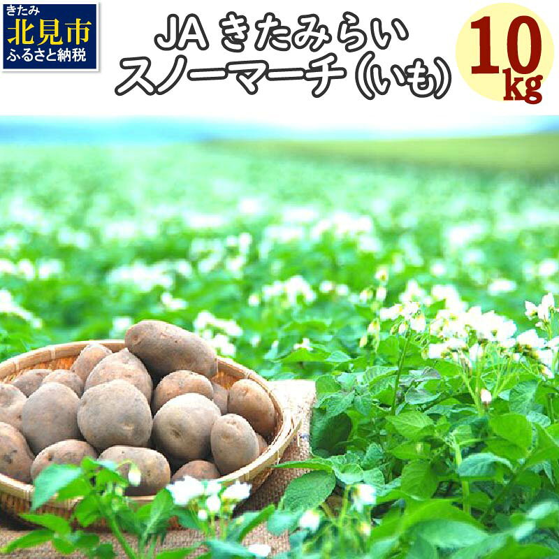 ＼1/31まで！／【予約：2025年1月上旬から順次発送】JAきたみらい「スノーマーチ(いも)」10kg ( 期間限定 野菜 芋 )