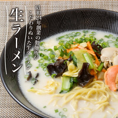 北海道北見市 【ふるさと納税】《14営業日以内に発送》津村製麺所 オホーツクの小麦畑 生ラーメン 12食入 ほたて白湯味 ( ラーメン 帆立 ほたて 12食 セット 詰合せ ) 画像2