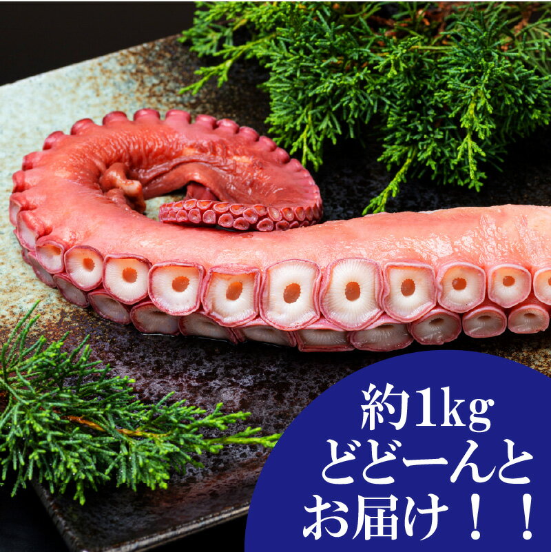 【ふるさと納税】北海道北見市常呂産 ボイル水タコ足 約1kg前後 ( 海鮮 たこ 水タコ )