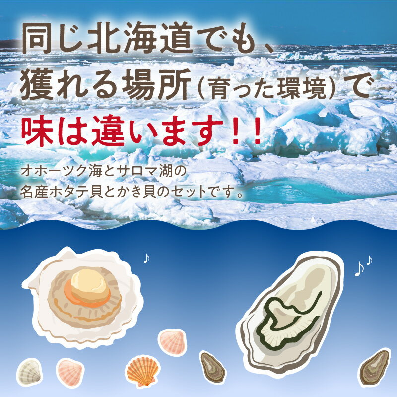 【ふるさと納税】とれたて新鮮！活ホタテ貝2.5kgと活牡蠣（2年物）2.5kg【2022年11月中旬から順次発送】 海鮮 魚介 魚介類 貝 貝類 帆立 ほたて ホタテ 貝柱 カキ かき 牡蠣 2.5キロ 海のミルク オホーツク産 セット 送料無料 BBQ バーベキュー 先行予約 予約