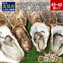 【ふるさと納税】【訳あり】サロマ湖自慢の殻付きカキ貝（大きさ不揃い）約5.5kg