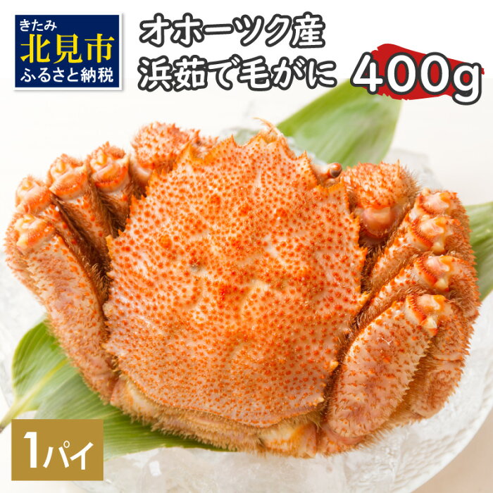 【ふるさと納税】オホーツク海産 浜茹で毛がに 400g×1パイ