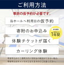 【ふるさと納税】カーリング体験チケット 1時間 ( カーリング アルゴグラフィックス 北見カーリングホール 体験 チケット 券 ) 3