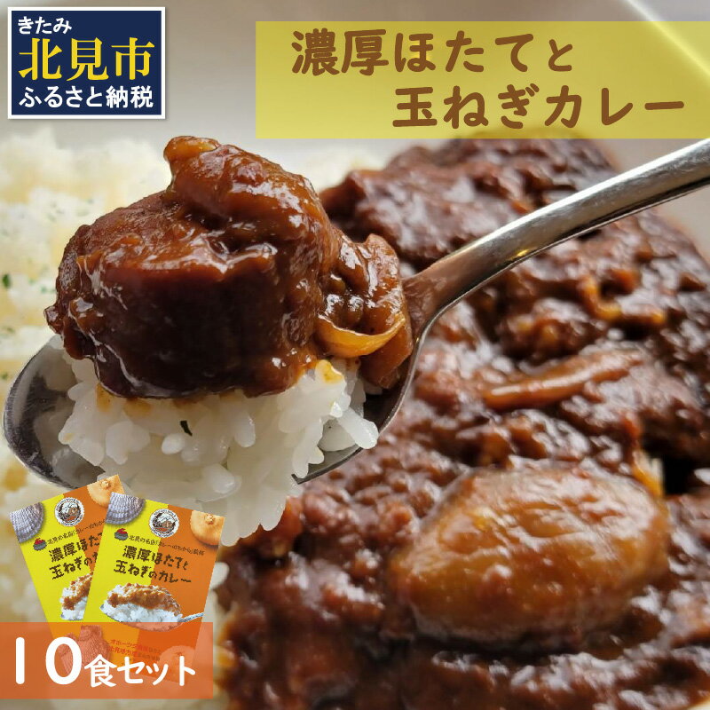 濃厚！ほたてと玉ねぎのカレー10食分 ( 加工品 レトルト カレー 海鮮 ホタテ バター 辛さもマイルド 人気 カレー専門店 )