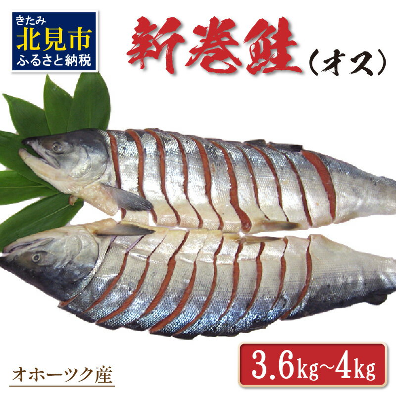 【ふるさと納税】オホーツク産新巻鮭 オス 切身 約3.6～4kg ( さけ サケ 切り身 パック 小分け 真空パ..