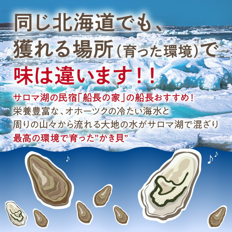 【ふるさと納税】【予約】サロマ湖自慢の殻付きカキ貝 大 3.5kg詰め ( ふるさと納税 カキ ふるさと納税 牡蠣 ふるさと納税 かき 濃厚 大きい 魚介類 貝類 殻付 殻付き牡蠣 BBQ バーベキュー 数量限定 )