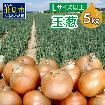 【ふるさと納税】玉葱 5kg（Lサイズ以上）【2022年10月中旬から順次発送】