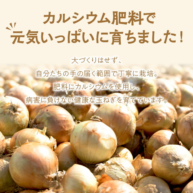 【ふるさと納税】【農家直送】村中さんちの玉ねぎ 5kg混玉（Lサイズ）【2022年9月中旬から順次発送】