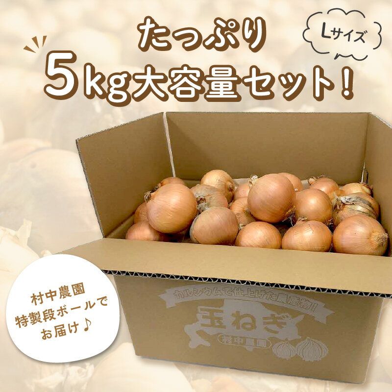 【ふるさと納税】【農家直送】村中さんちの玉ねぎ 5kg混玉（Lサイズ）【2022年9月中旬から順次発送】