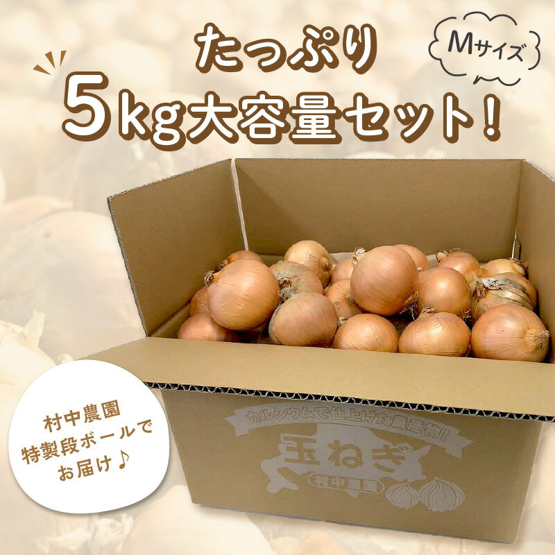 【ふるさと納税】【農家直送】村中さんちの玉ねぎ 5kg混玉（Mサイズ）【2022年9月中旬から順次発送】