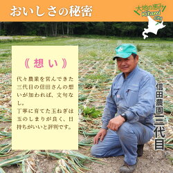 【ふるさと納税】日本一の玉ねぎ生産地！信田農園の玉ねぎ 10kg【2022年9月中旬から順次発送】 画像2