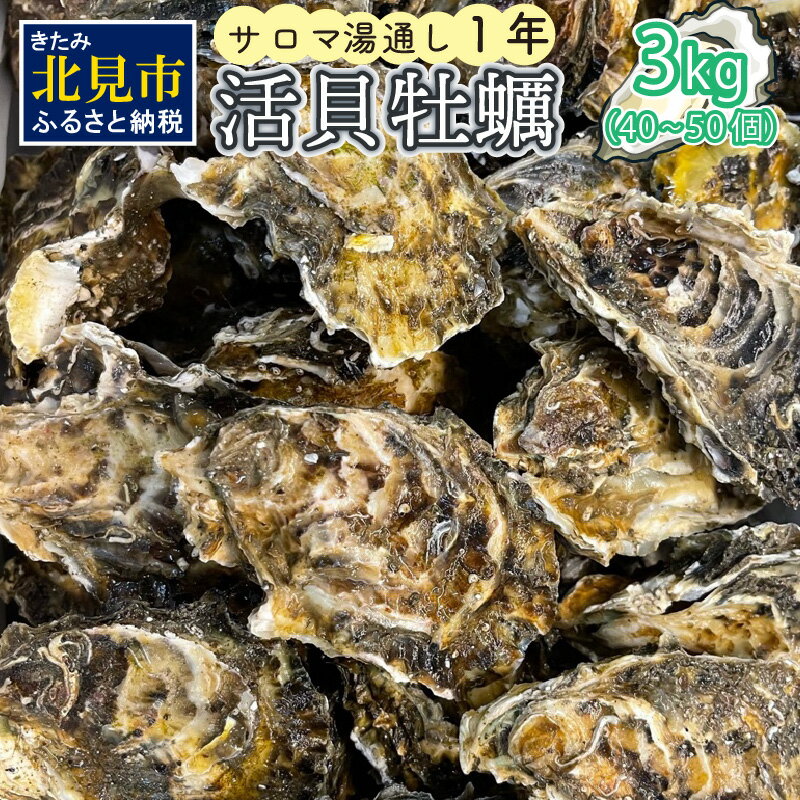 [予約:2024年11月上旬から順次発送]サロマ湖湯通し1年 活貝牡蠣3キロ 40〜50個 ( カキ 魚介類 期間限定 3kg )