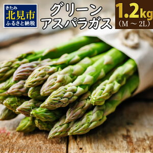 【ふるさと納税】高畑さんが作る　アスパラ1.2kg（M～2L）【2023年4月中旬から順次発送】 野菜 アスパラ アスパラガス 獲れたて 天ぷら 野菜炒め 送料無料