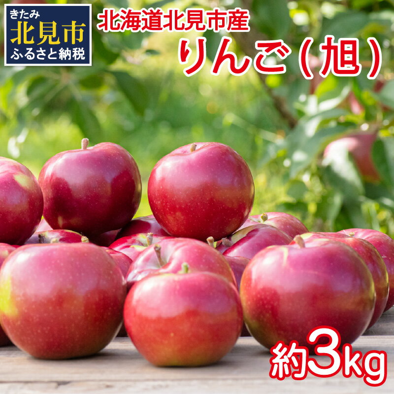 [予約:2024年10月から順次発送]北海道北見市産りんご( 旭 )約3kg ( りんご リンゴ 林檎 果物 フルーツ 期間限定 )