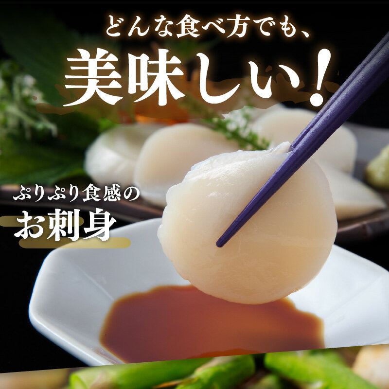 【ふるさと納税】＼12/10入金分まで年内配送／《14営業日以内に発送》北海道 オホーツク海産 ほたて 貝柱 冷凍 1kg 生食用