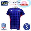 【ふるさと納税】【カーリング振興応援返礼品】ロコ・ソラーレ ユニフォーム柄Tシャツ ( ユニフォーム Tシャツ ミズノ カーリング )